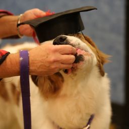 photograph by PeterW